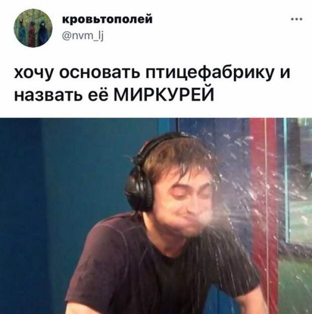 Скрины из соцсетей