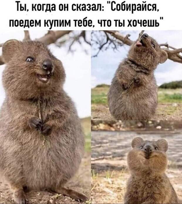 Собирайся) Собирайся)