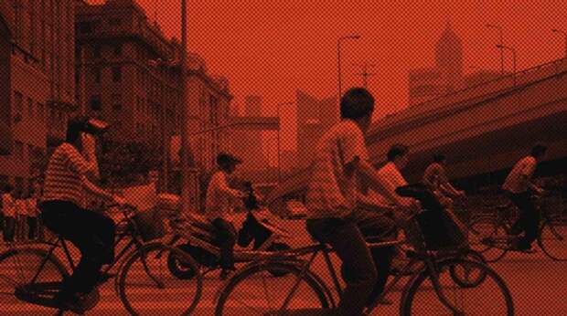 В Роспотребнадзоре призвали российских туристов в Азии не подходить близко к свиньям и летучим мышам