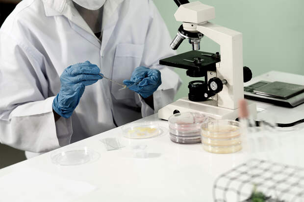 Выявлен неожиданный способ повысить эффективность иммунотерапии рака