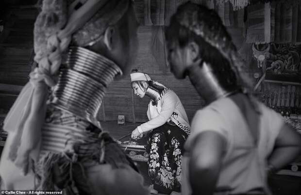 Претенденты на победу в Smithsonian Photo Contest 2018