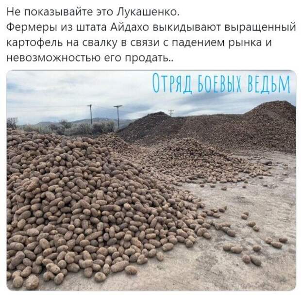 Политические картинки 2