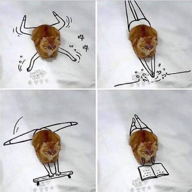 Подборка прикольных фото №1588 (118 фото)