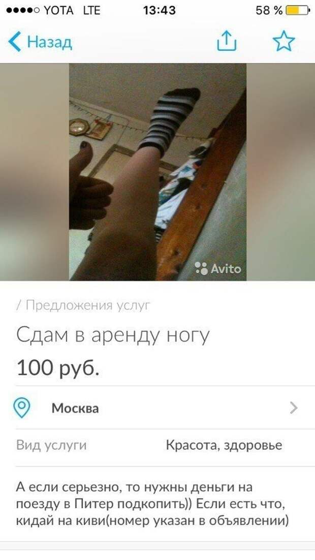 Нелепые и смешные резюме в Интернете