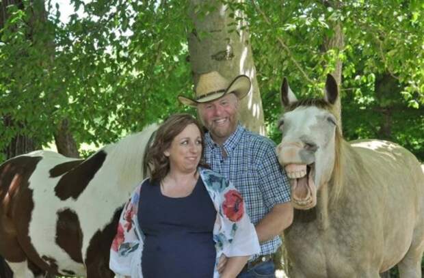 Конь влез в кадр и сделал фотосессию супружеской пары забавной
