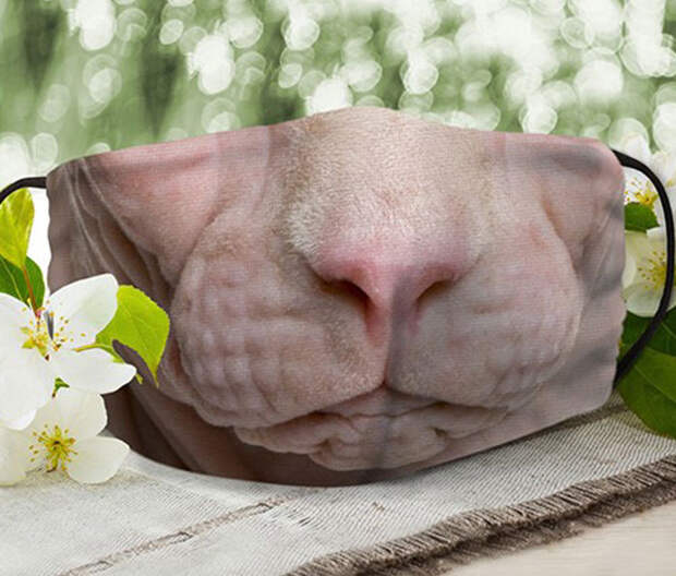 Грядущей осенью самыми модными станут маски с кошечками!