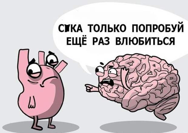Смешные картинки с надписями прикол, юмор