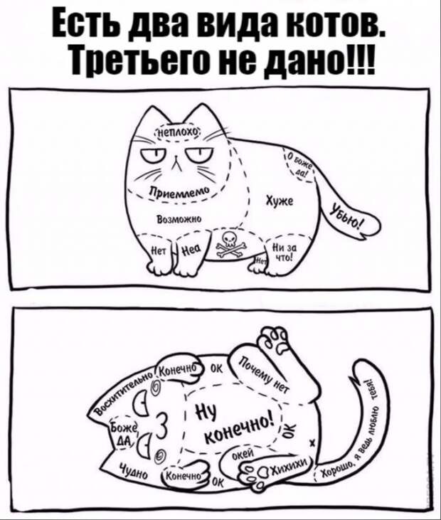 Смешные фото вечер 29 декабря 2020