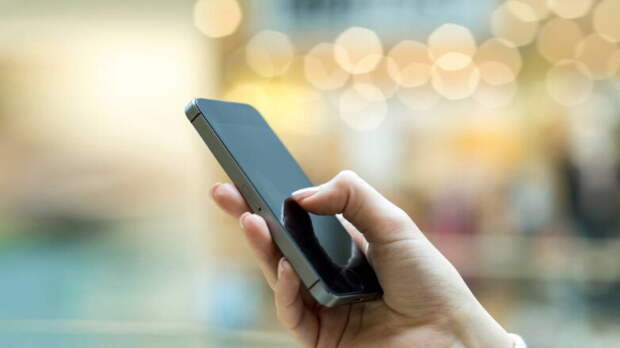 Поправки об уголовной ответственности для дропперов примут до конца весенней сессии – Володин