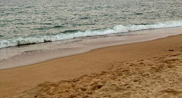 В Курортном районе благоустроят пляж "Новый"