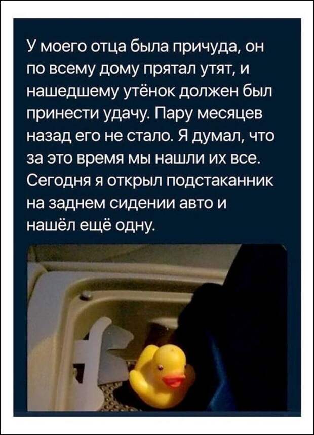 Фотоподборка