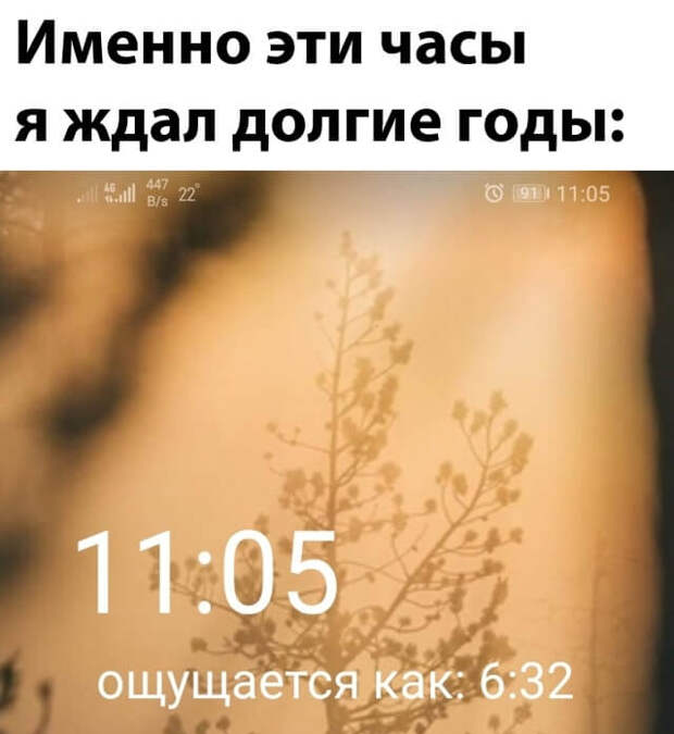 Смешные фото вечер 21 августа 2020