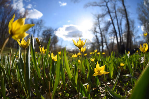 Жителям России рассказали о народных приметах и запретах на 25 апреля