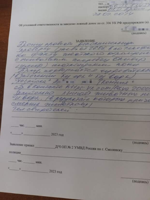 В Смоленске от голода погиб конь
