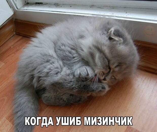 c9TLOdNNnvY