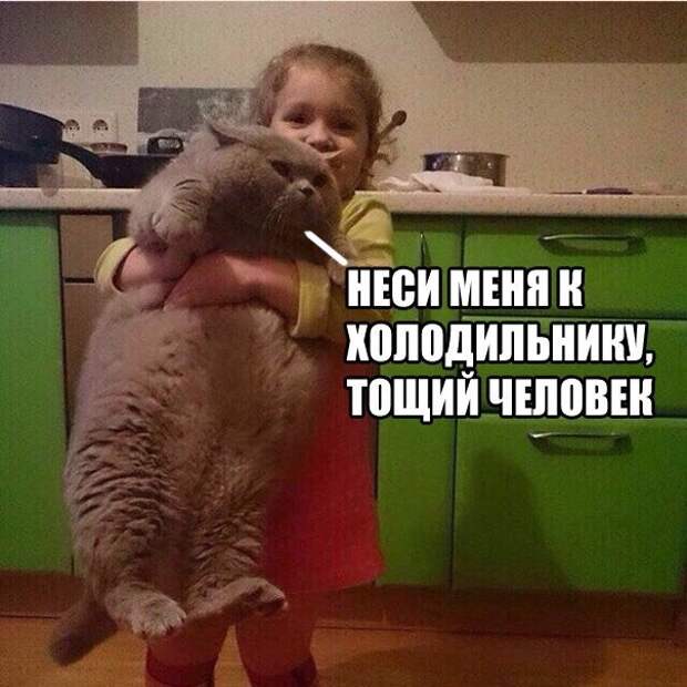 www.vsyako.net