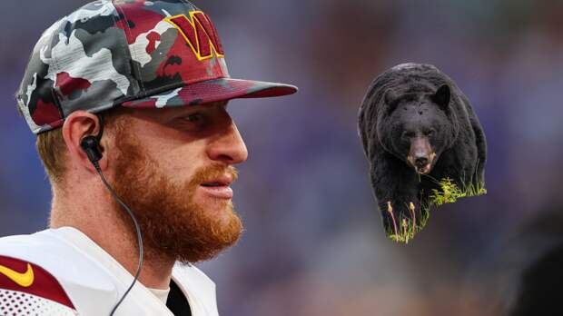 Carson Wentz and a black bear