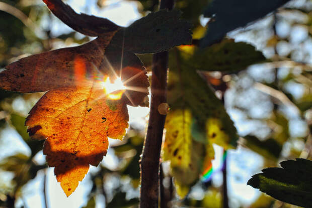 Метеорологи дали глобальный прогноз погоды на август-октябрь
