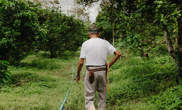 Источник фото: Unsplash