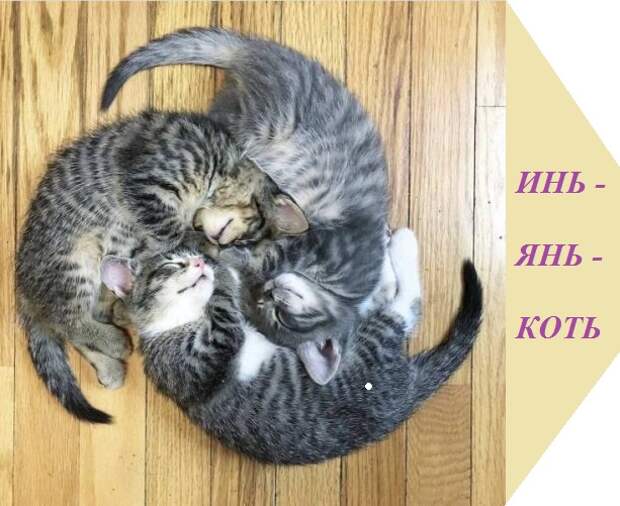 ВИннЕГРЕТ 146