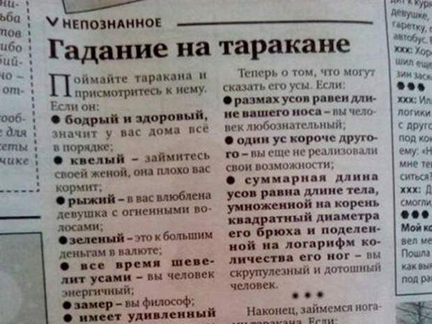 Личность и тараканы. Личность и тараканы.