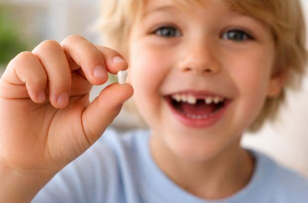 Молочные зубы: почему они нужны и что в них хранится о беременности