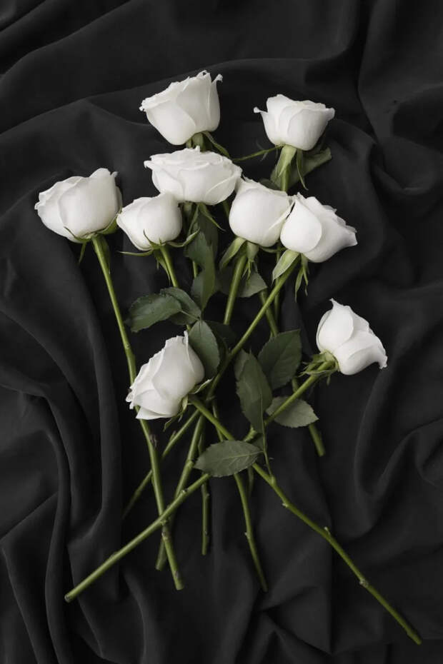 Ушла из жизни звезда фильма "Москва слезам не верит": обстоятельства и причина смерти Веры Алентовой