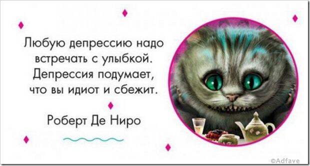 Несколько наполненных юмором открыток о нашей жизни
