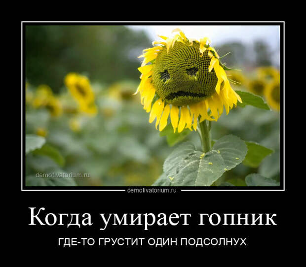 Демотиваторов сборник (19 фото)