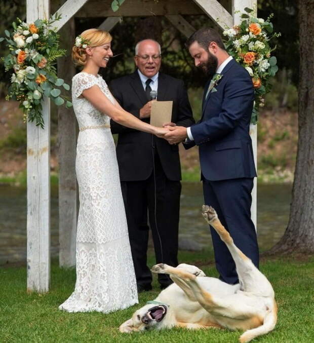 Смешные свадебные фото