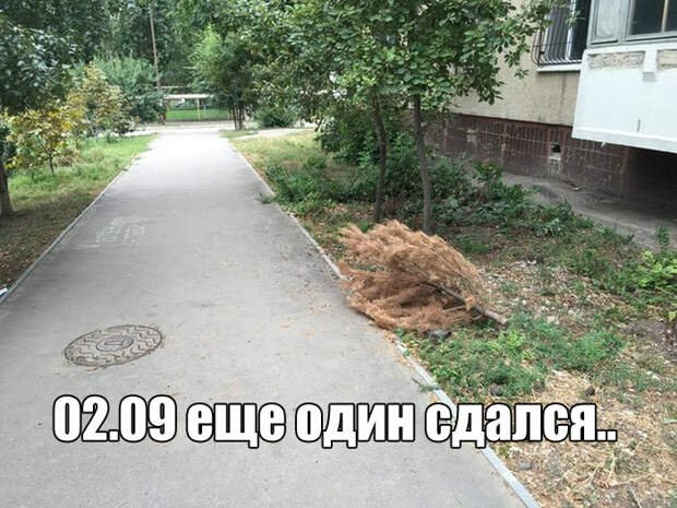 1473056433_05