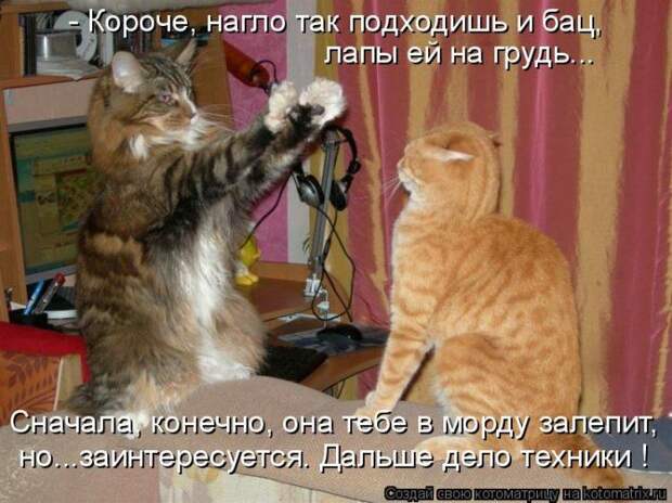 Мысли вслух :)