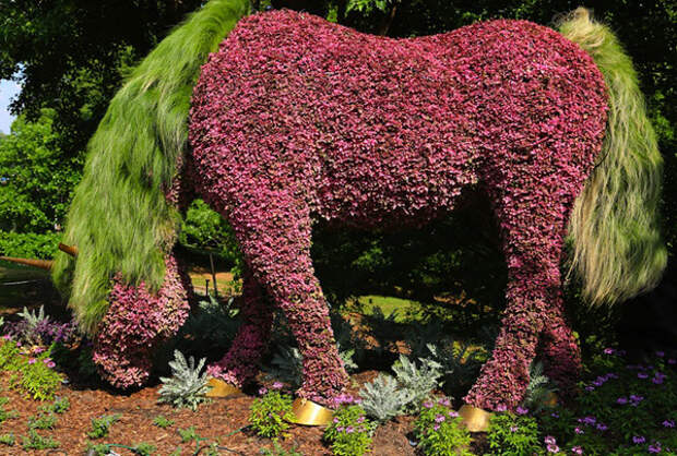 atlantabotanicalgardens15 (700x405, 185Kb)