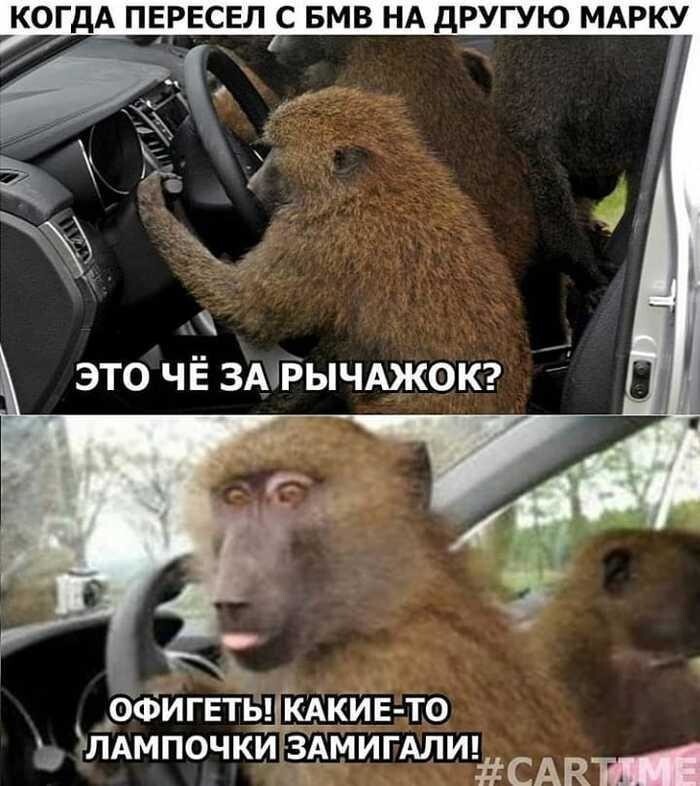 Наболело: о тех, кто не пользуется поворотниками Наболело: о тех, кто не пользуется поворотниками