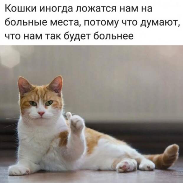 Весёлые