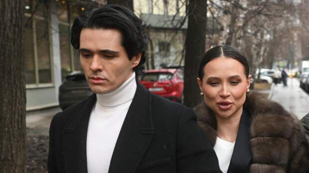 Источник: обвинение одобрило приостановку дела против Лерчек из-за рака