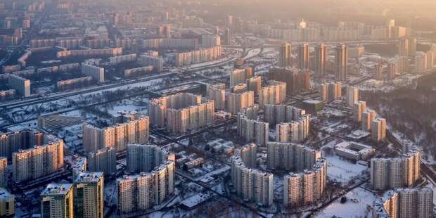 ДПиООС исключил возможность появления в Москве популяции мадагаскарских тараканов. Фото: М. Денисов mos.ru