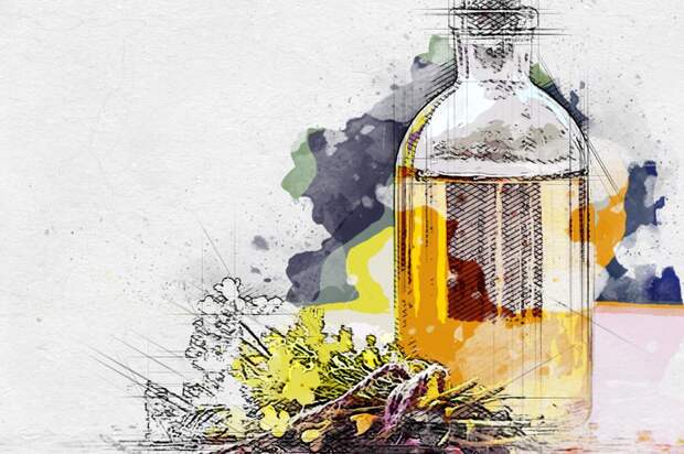 Орловская область заняла второе место в России по производству рапсового масла