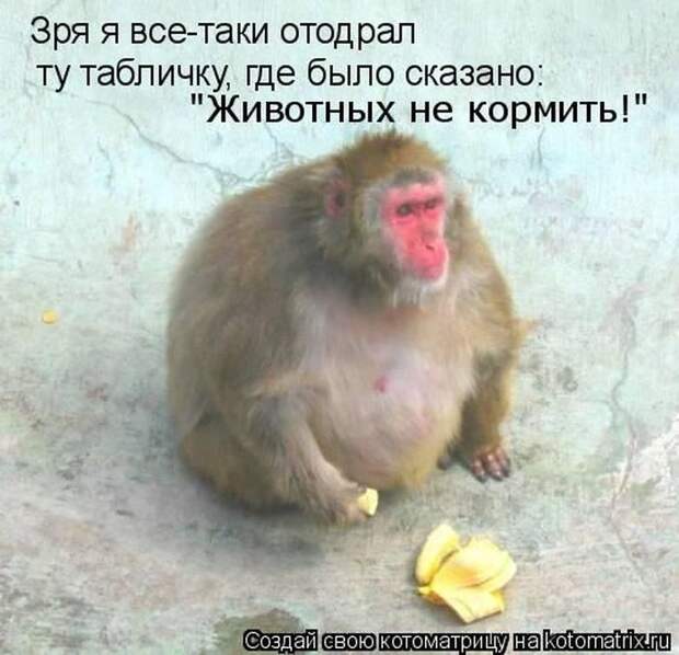 Мысли вслух :)