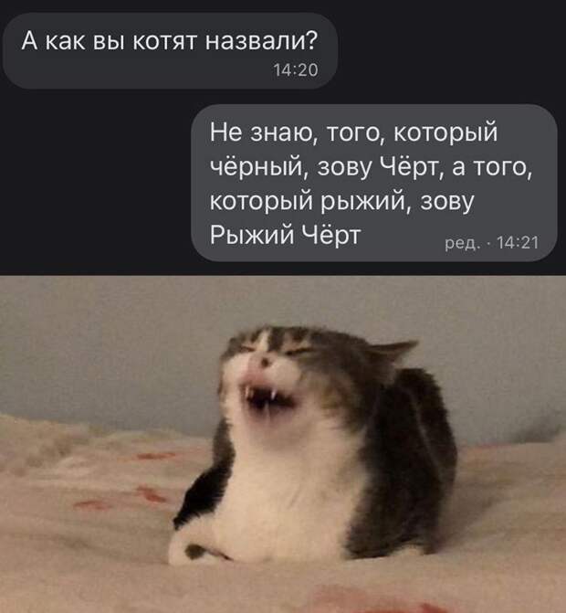 прикольные картинки ржачные (5)