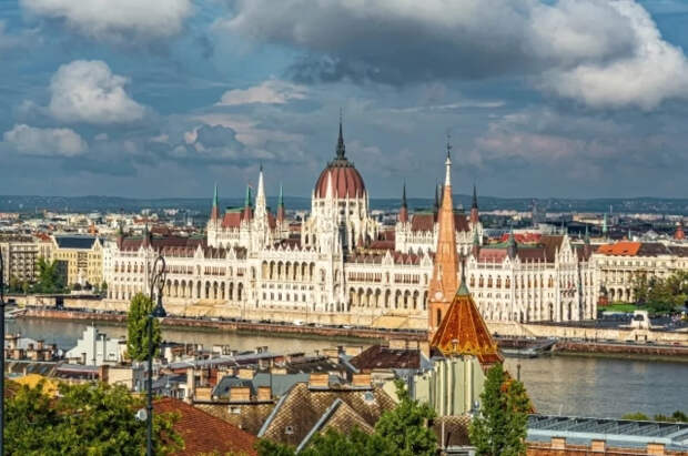 Свиную голову подкинули к посольству Украины в Будапеште