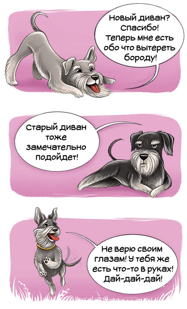 Честный гид по породам собак от первого лица (Часть 2-я)