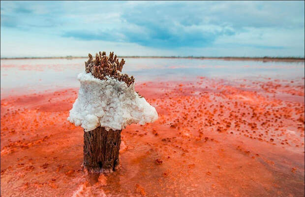 Сивашский залив. Фото: Сергей Анашкевич. Сивашский залив. Фото: Сергей Анашкевич.