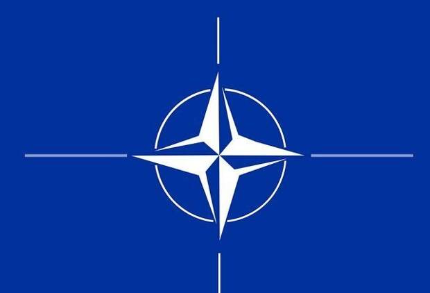 Мария Захарова отреагировала на решение Турции одобрить заявку Швеции на вступление в НАТО