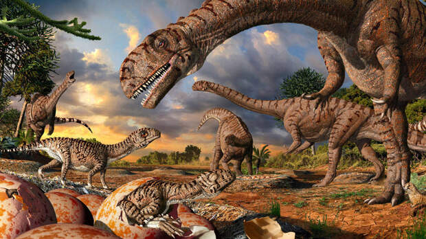 Картинки по запросу палеонтология
