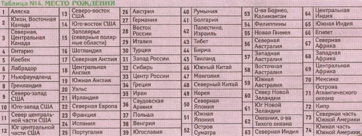 Хотите узнать, кем вы были в прошлой жизни?