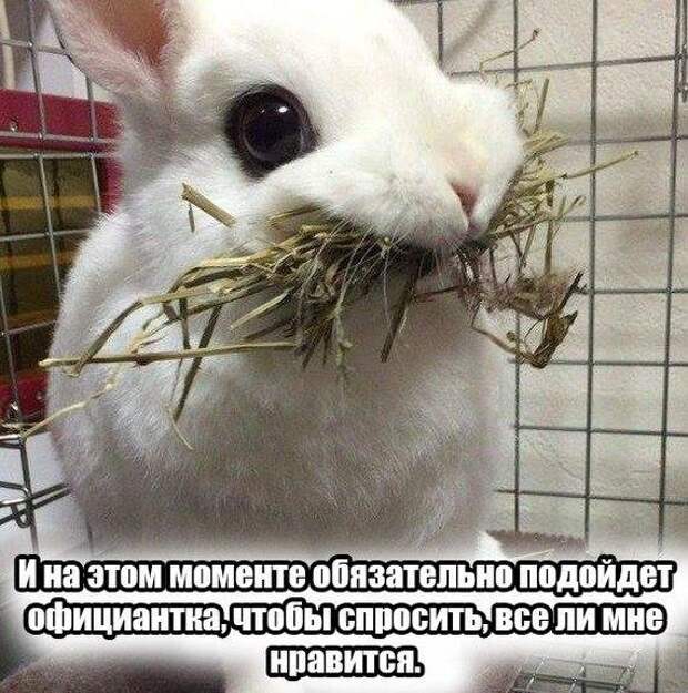 ПОЗИТИВНЫЙ ПОСТ+ 197