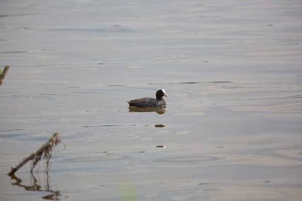В Тульской области 28-29 марта ожидается переменная облачность и небольшой дождь