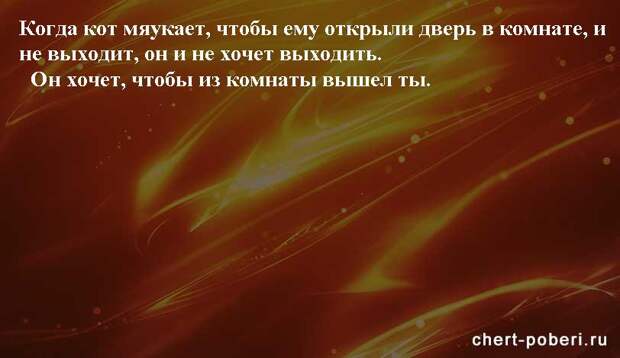 Самые смешные анекдоты ежедневная подборка chert-poberi-anekdoty-chert-poberi-anekdoty-32540230052020-15 картинка chert-poberi-anekdoty-32540230052020-15