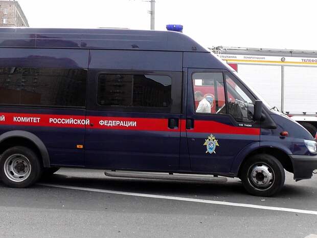 Пятилетняя девочка выбросила маленькую сестренку с четвертого этажа